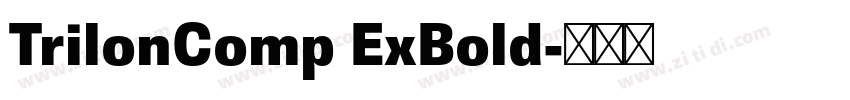 TrilonComp ExBold字体转换